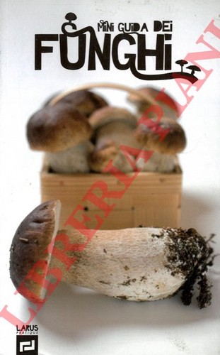 Micologia funghi - micologia,