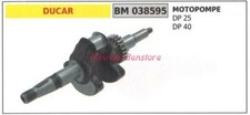 Albero motore DUCAR motore motopompa DP 25 40 038595