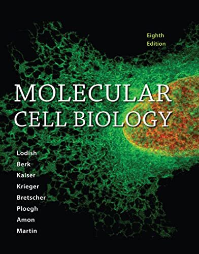 Molecular cell biology - molecular,