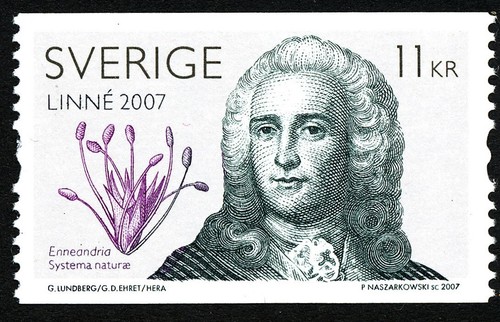 Svezia 2006 carl von linné - svezia,