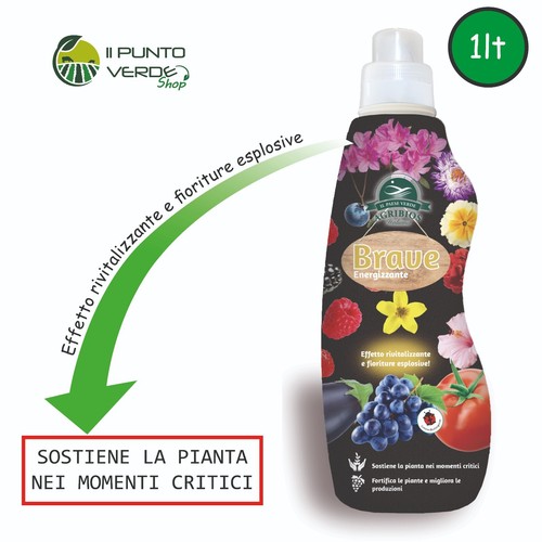 Concime organico litro - concime, 1