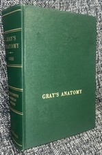 Gray's Anatomy of The Human
