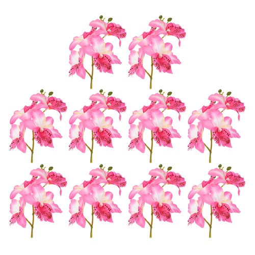 Pezzi pollici orchidea - 7,