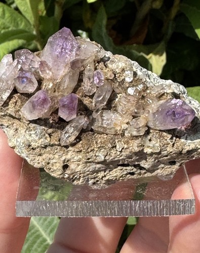Minerali drusa di quarzi - #,