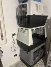 Kennel taglia grande esterno