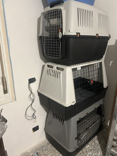 Kennel taglia grande - , esterno