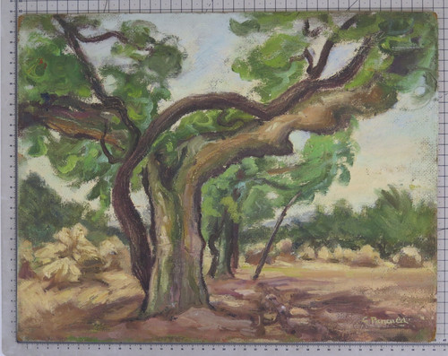 Quadro firmato pancaldi - quadro,