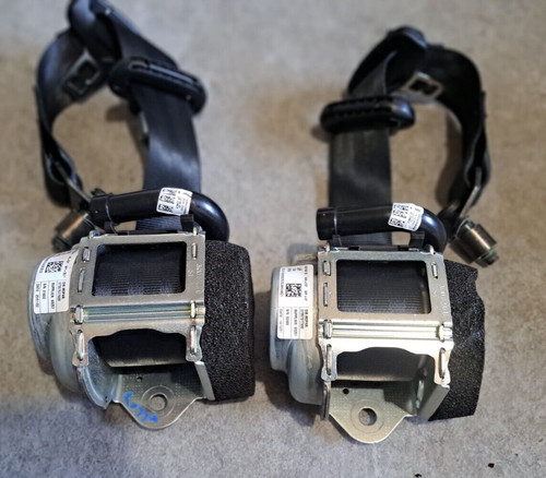 Coppia cinture sicurezza - coppia,