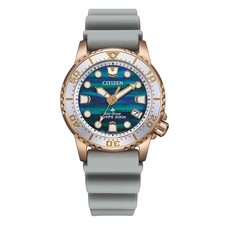 Orologio CitizenDiver's