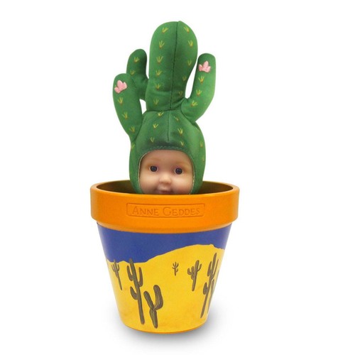 Anne geddes baby cactus - geddes,