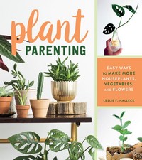 Plant Parenting: Easy Ways to
