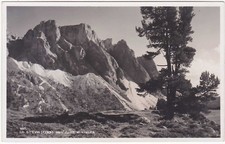 LO STEVIA DALL'ALPE DI CISLES - BOLZANO -86785-