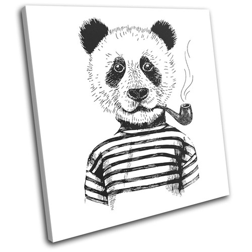 Hipster animals panda bear - hipster,