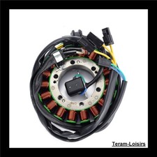 Stator Per Suzuki VS 800