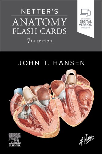 Netter anatomy flash cards - netter's,