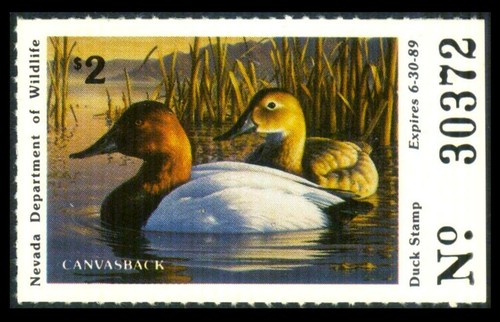 Nv10 nevada state duck - nv10,