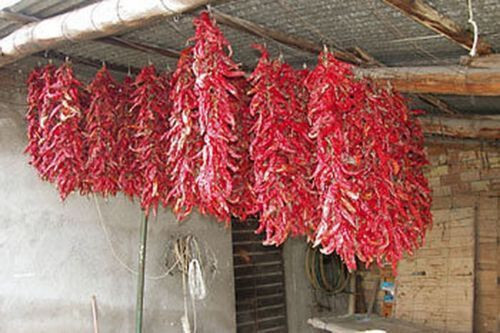 Peperone rosso dolce - rosso, da