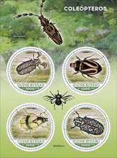 Coleotteri