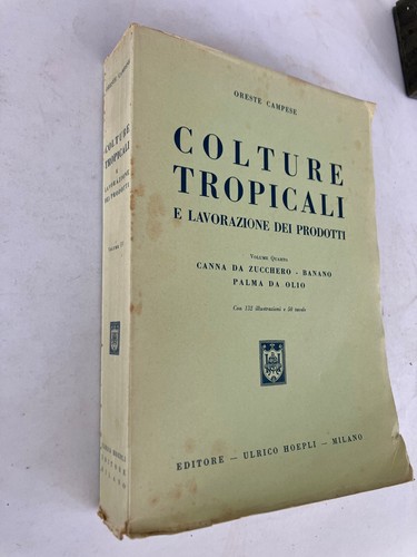 Colture tropicali canna da - /canna,