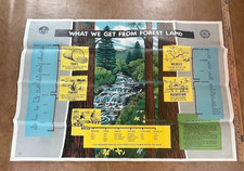 What We Get Forest Land 1958