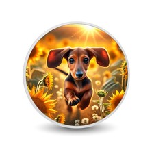  Girasole Sprint 1 oz moneta colore argento