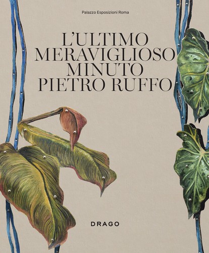 Ultimo meraviglioso minuto - l'ultimo,