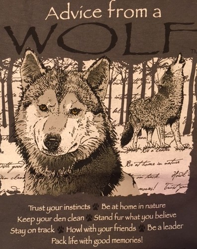 Shirt wolf nwt - t-shirt, organic