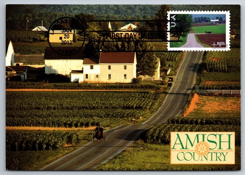 C150 amish cavallo - cavallo, e