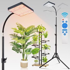 Grow Lights for Indoor Plants
