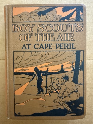 Boy scouts the air at - boy,