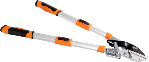 6173bx cesoie troncarami con - -,