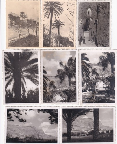 Foto italia trapani ww2 - trapani,