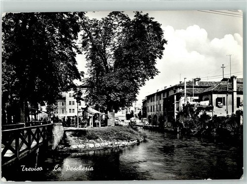 10582457 treviso la - treviso,