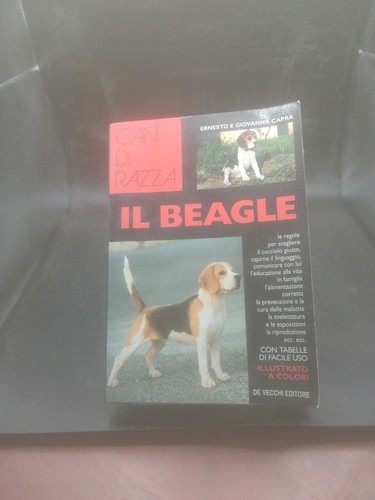 Beagle cani razza de - cani,