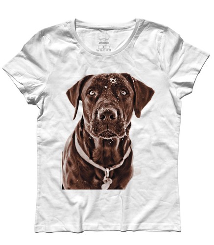 Shirt donna labrador - t-shirt,
