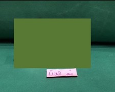 Thun Maxi Carillon Teddy