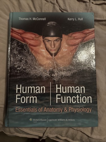Human form function - human, form,