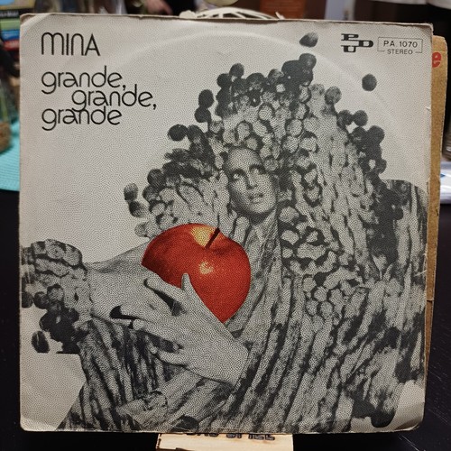 Disco giri mina grande - giri,