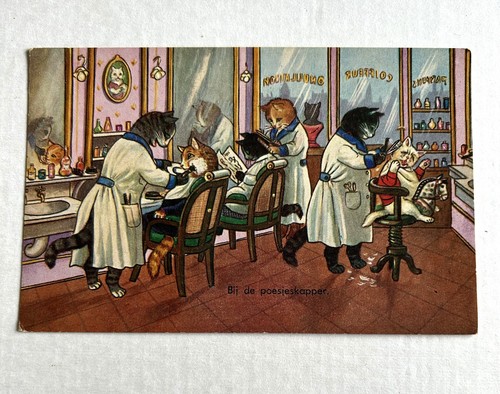 Cartolina gatti parrucchieri - cartolina,