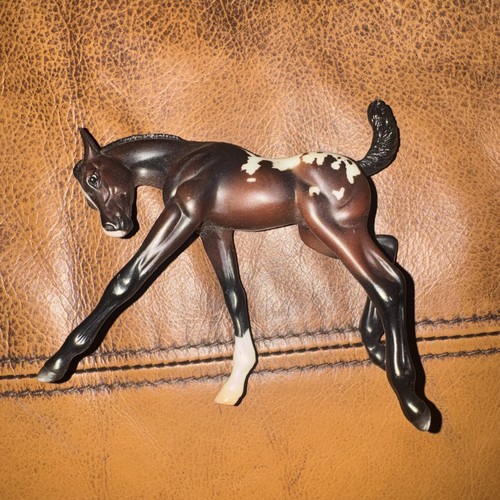 Puledro appaloosa classico - puledro,
