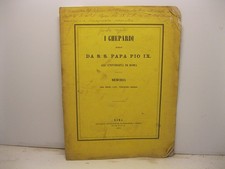 DIORIO Vincenzo, I ghepardi