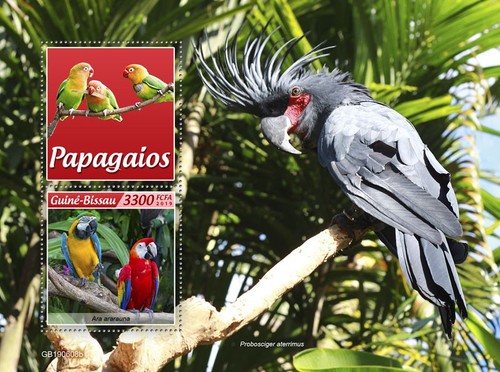 Pappagalli