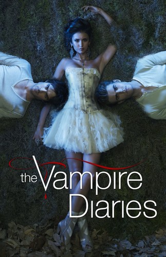 Bb4516 the vampire diaries - the,