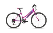 MTB TECNOBIKE OASI 26 TZ500