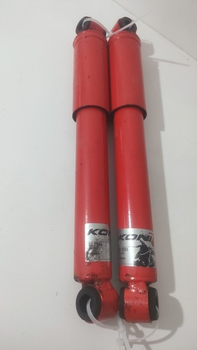 Coppia koni 2584 - coppia,