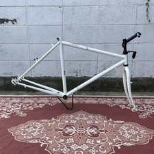 DAHON Mountain Bike Telaio