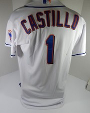 2011 New York Mets Luis