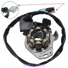 Bobina statore alternatore per
