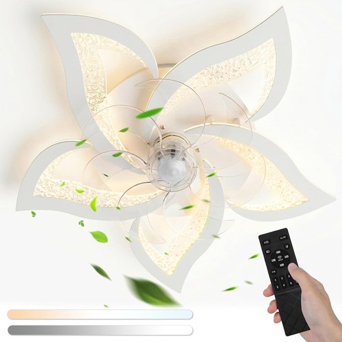 Ventilatore soffitto con - ventilatore,