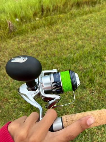 Shimano saragosa 5000 - 5000,, grey